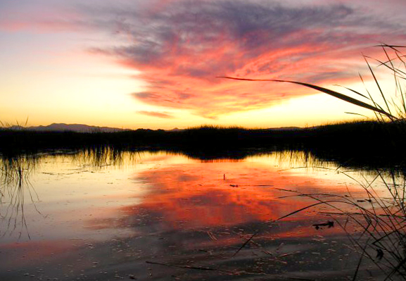 Wetland sunrise. CDFW photo